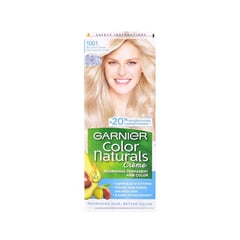 Garnier Hair Color 1001 Silver Blonde