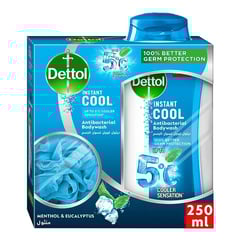 Dettol Shower Gel Cool 250 ml + Loofah Free