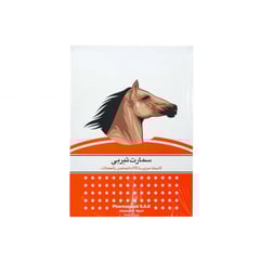 Smartherapy Hot Plaster Red