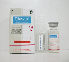 Triaxone 1 gm IV Vial