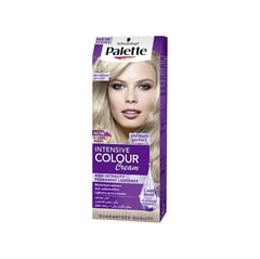 PALETTE Hair Color 10-1 Arctic Silver Blonde