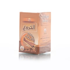 CASTOR OIL WADY-ALNAHIL CINNAMON 60ML