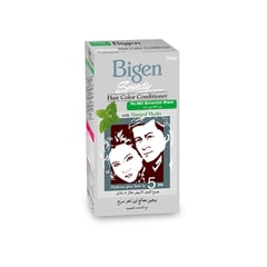 Bigen Speedy Hair color conditioner Brown Black 882